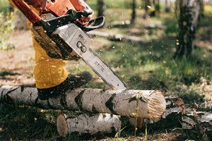 StihlChainsawCylinderService